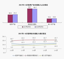 中國軟件行業協會在軟件和信息技術服務業中的角色與影響